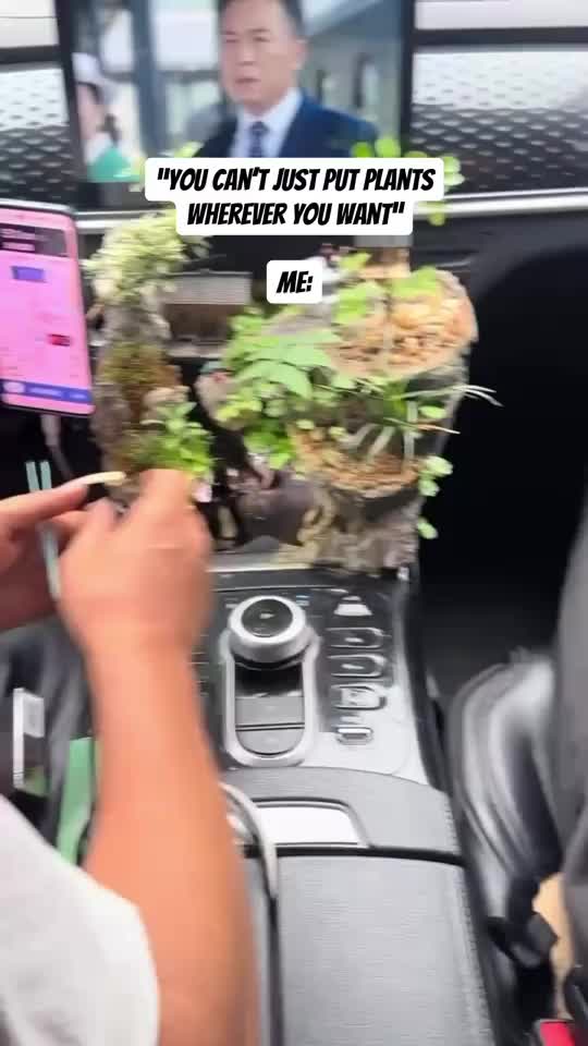 @Plants_it’savibe