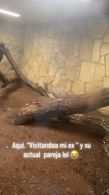 @💫Maritza
