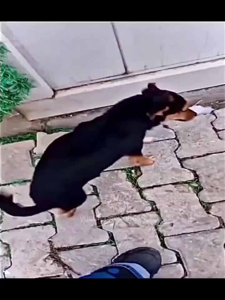 @ÇEREZ