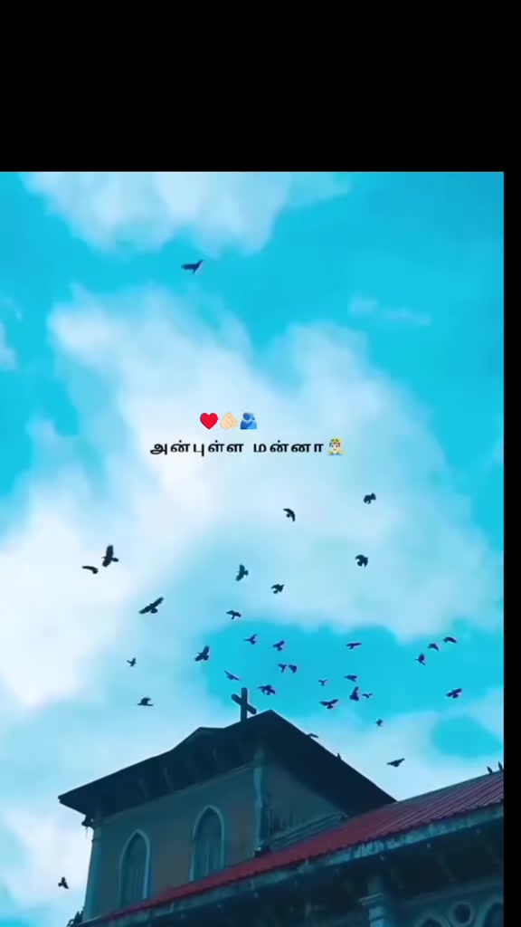 @🌻💛мαмα ρσииυ fσяєνєя🌻💛
