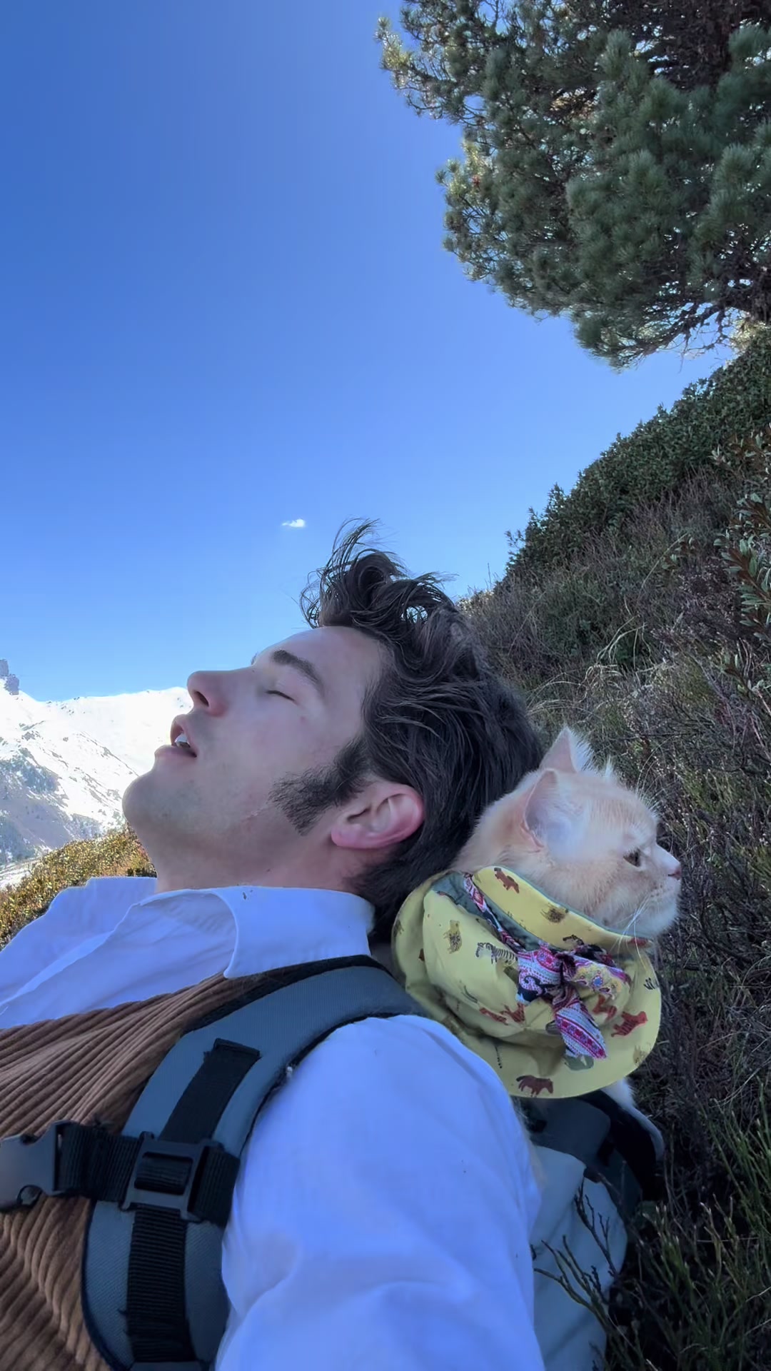 @peter_mai_
