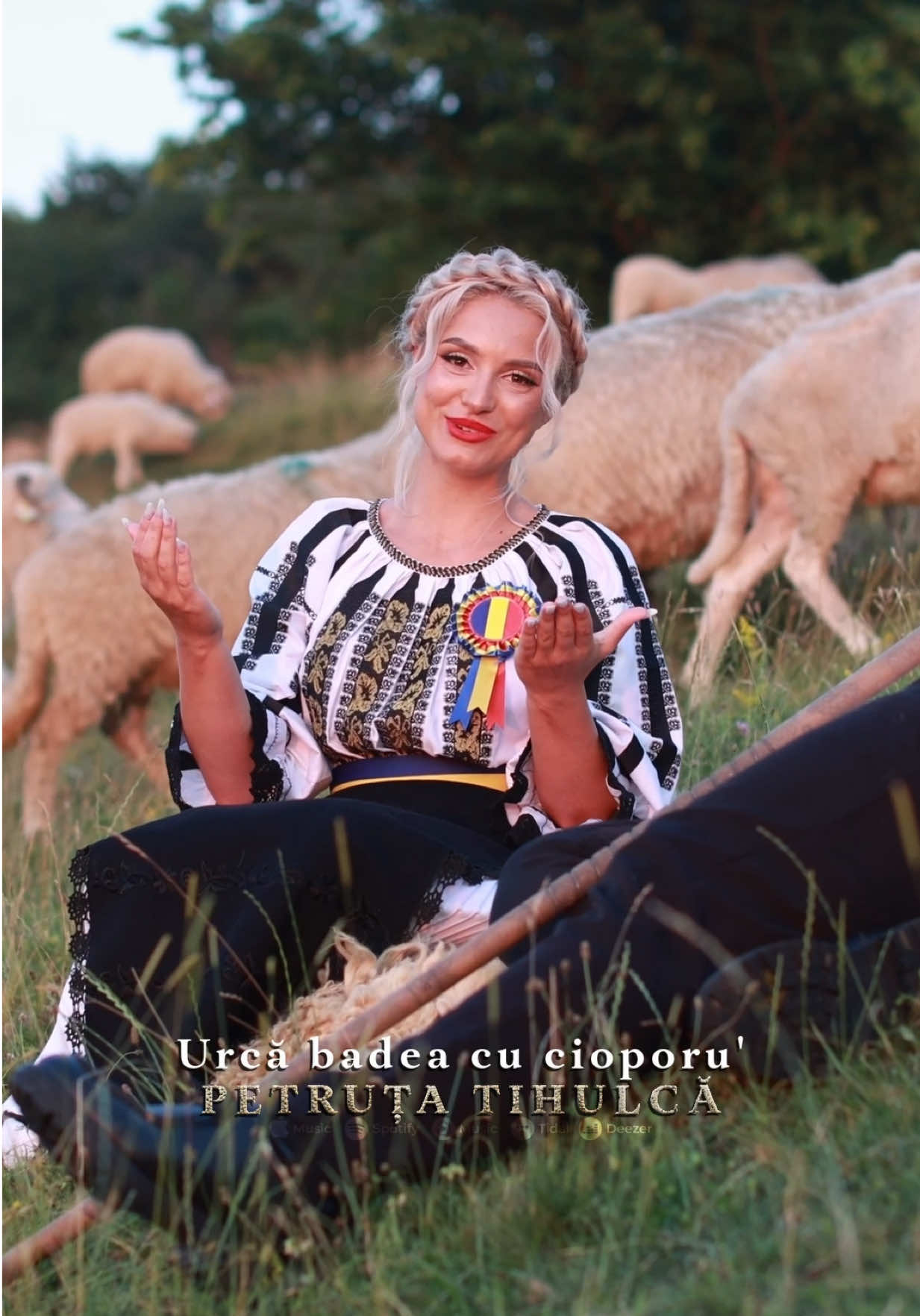 @Petruța Tihulcă
