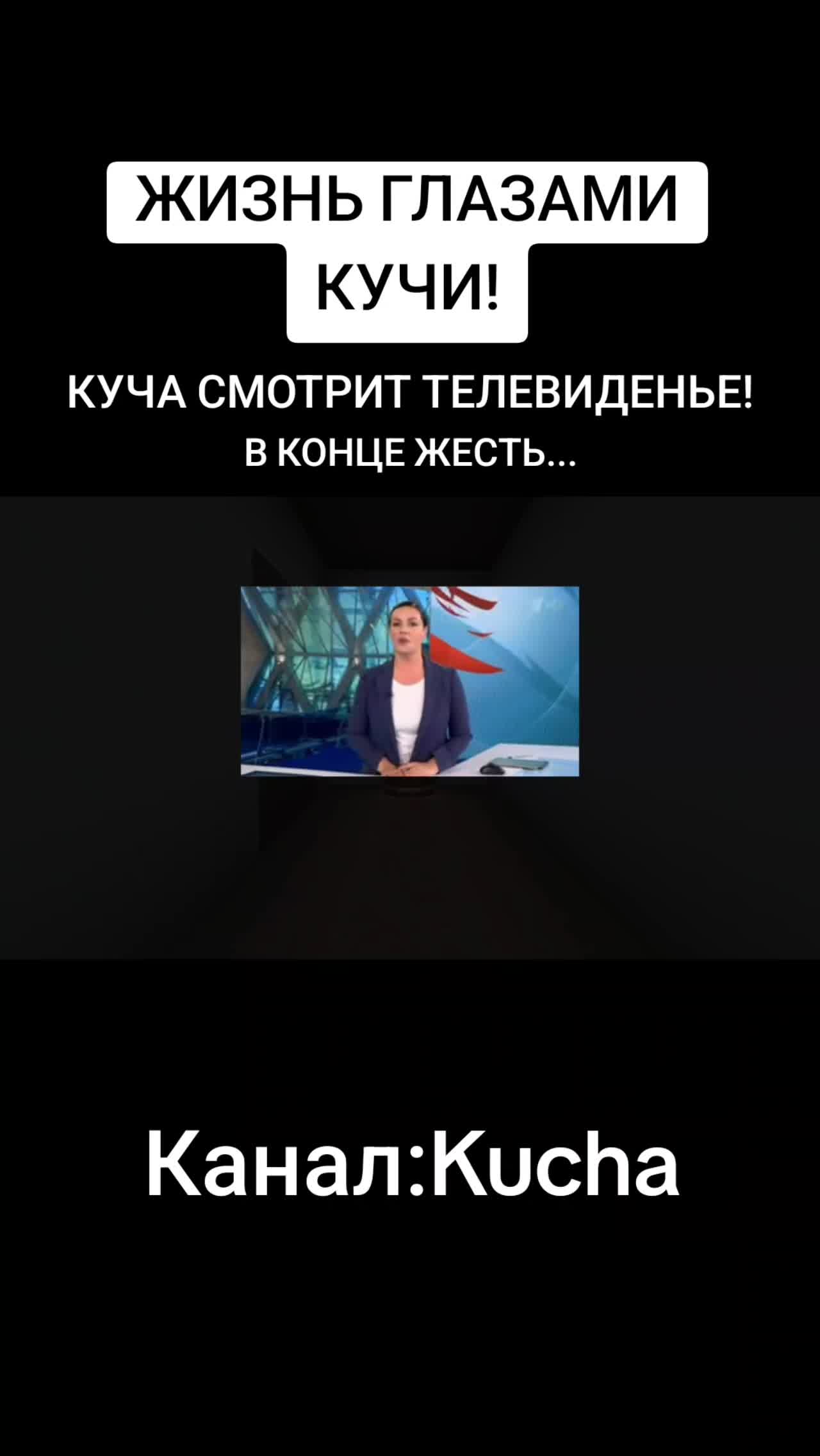 @svinina