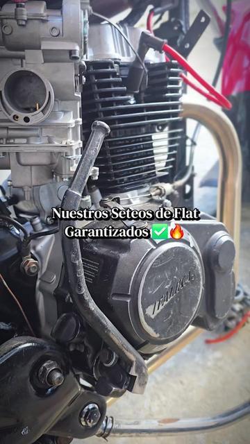 @ElGarageDePorcky🐽TallerDeMts