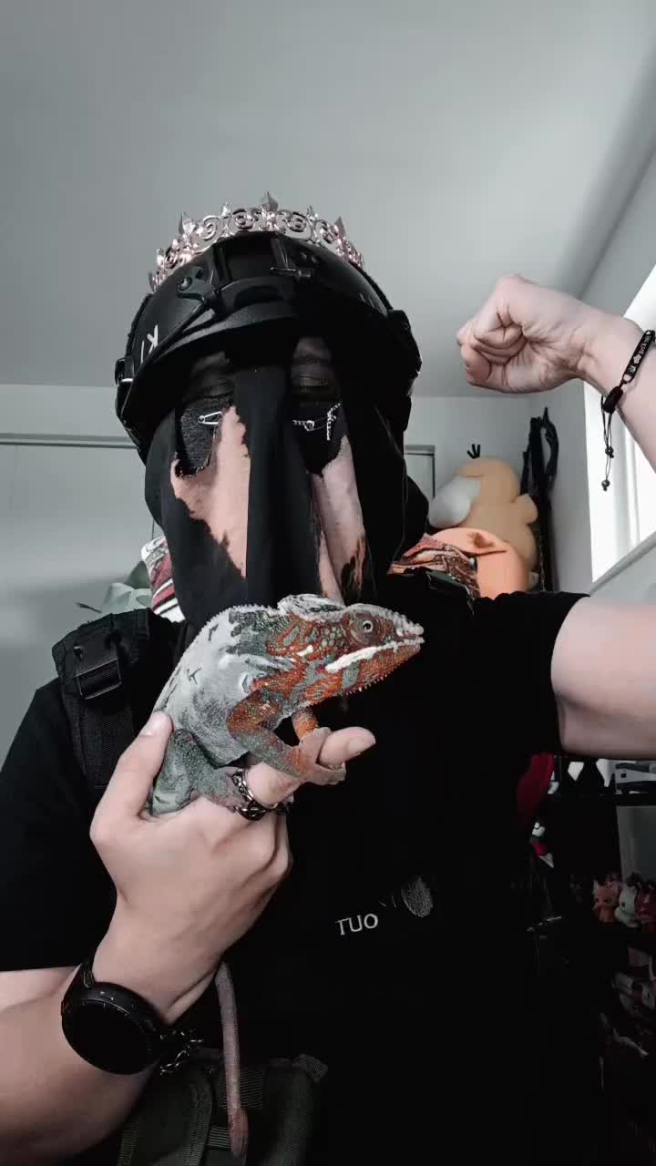 @KingK&ouml;nig