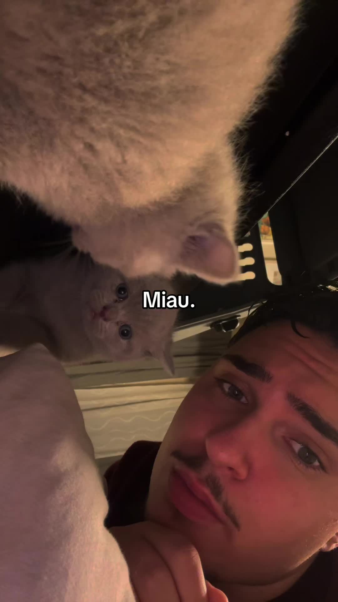 @Italienermitgr&uuml;nenaugen