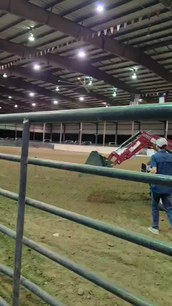 @TF Performance Horses