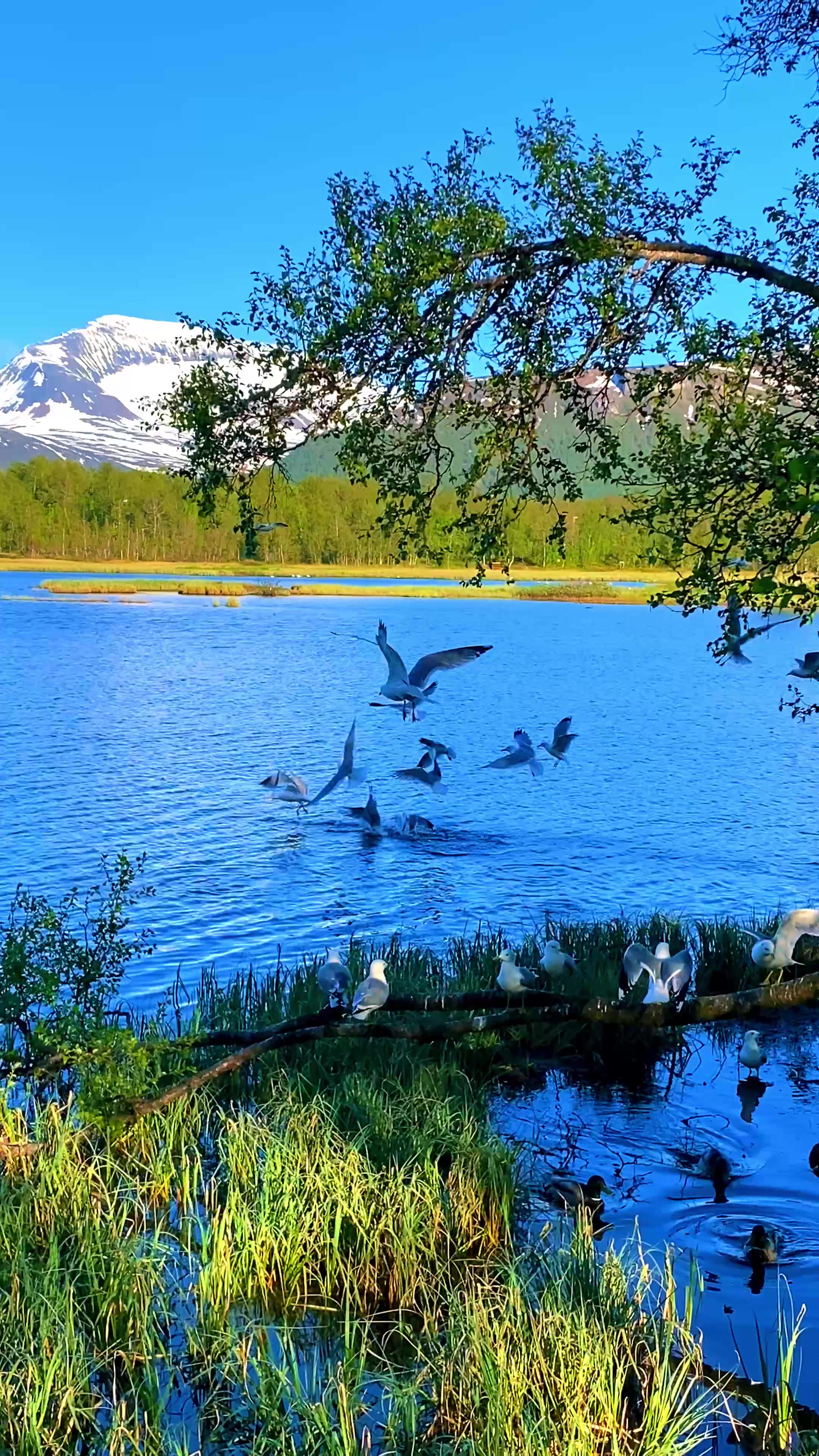 @Norway the Paradise