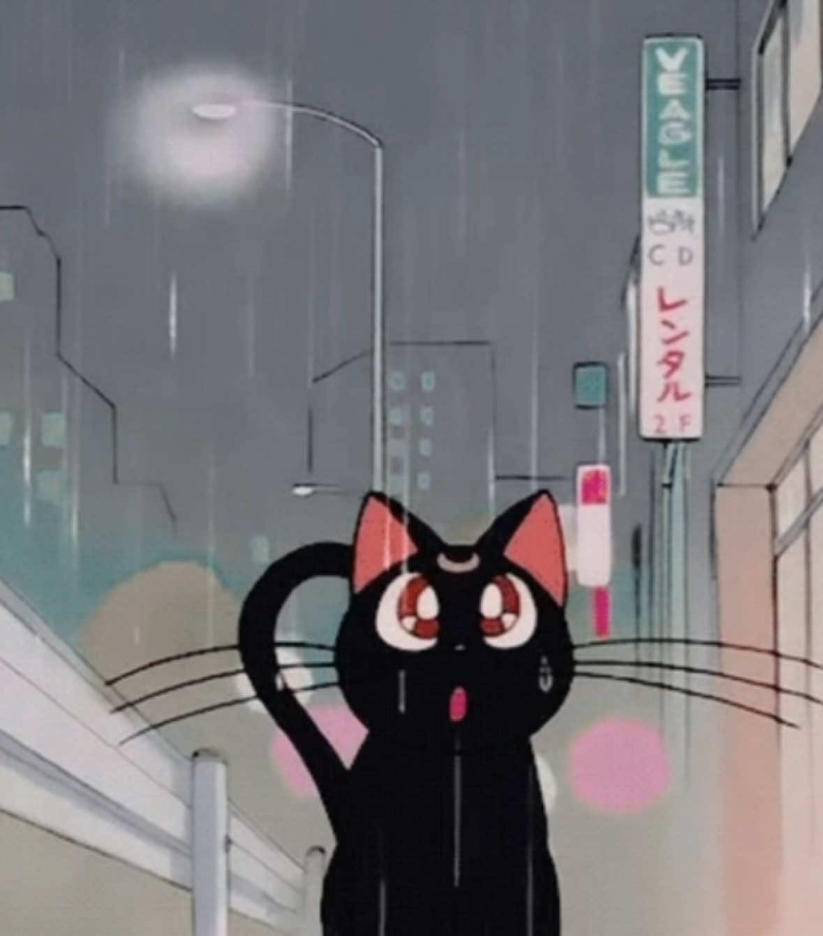 @𝘒𝘢𝘳𝘭𝘪𝘦♡🍒