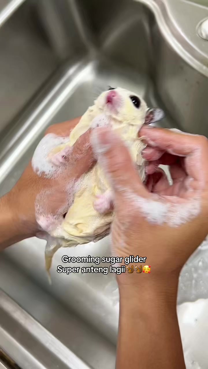 @jesugarglider.id1