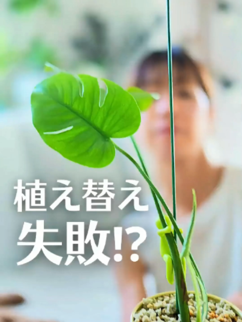 @KyotoTravelJP