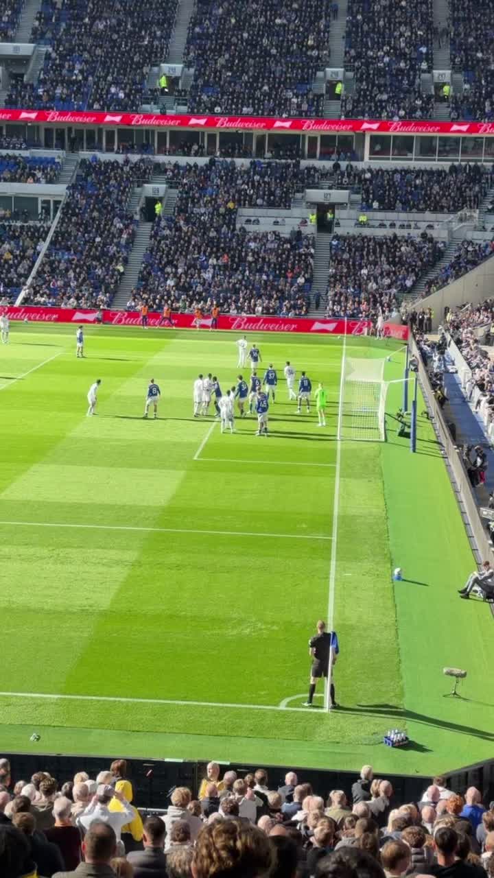 @BLUESFANTV