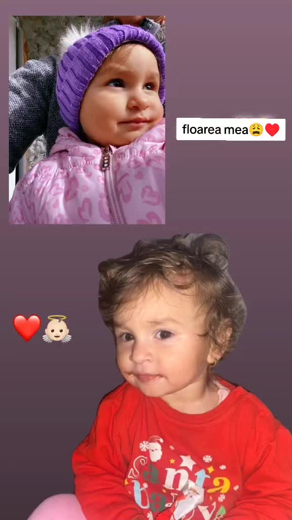 @MArcel"Giulio🦍❤️🧨
