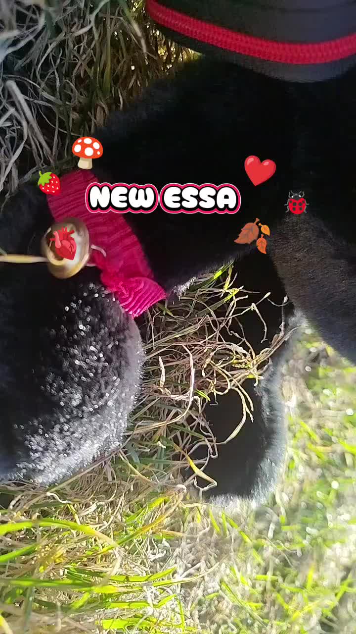 @🌱★~essa~★🌱