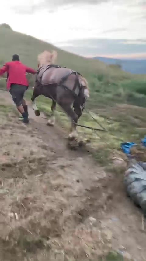 @Călin💎