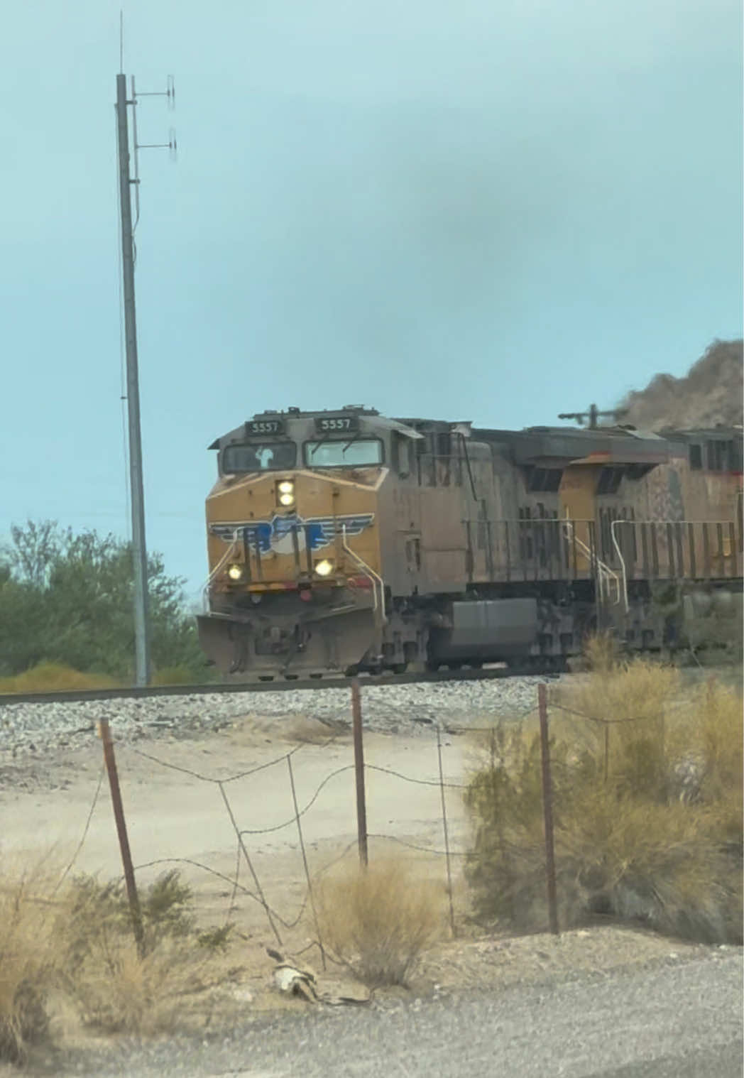 @ShinyRailsLover