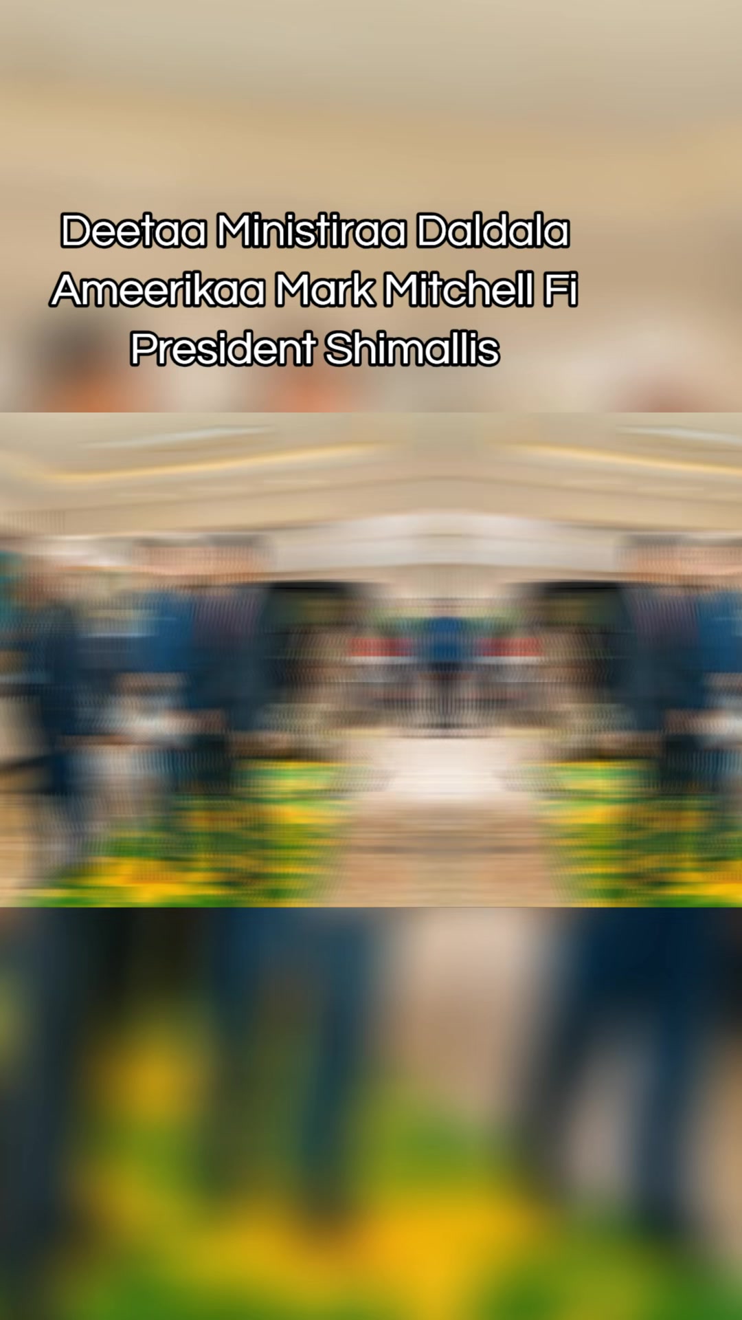 @Shimallis Abdisa Parody