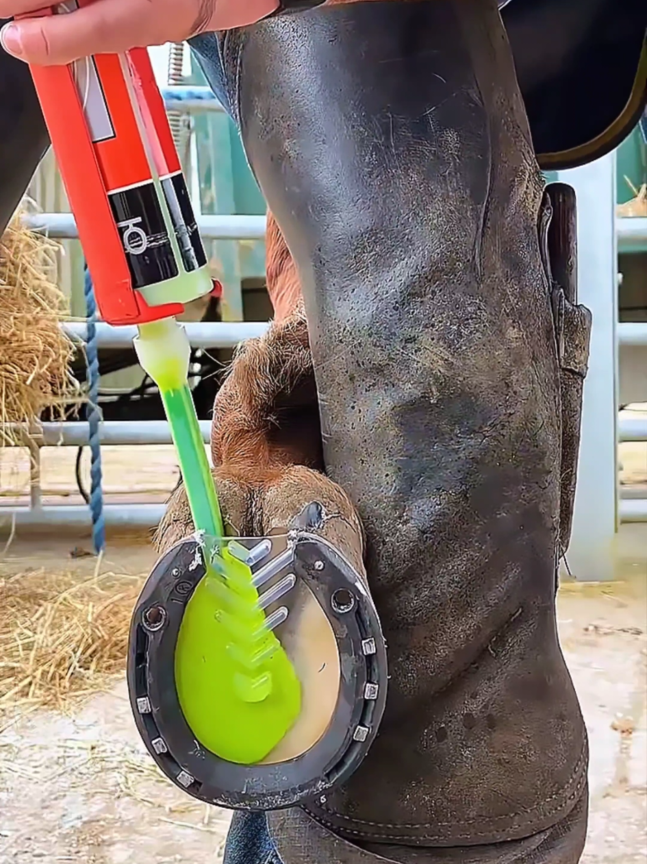 @American Farrier 🇺🇸🇺🇲