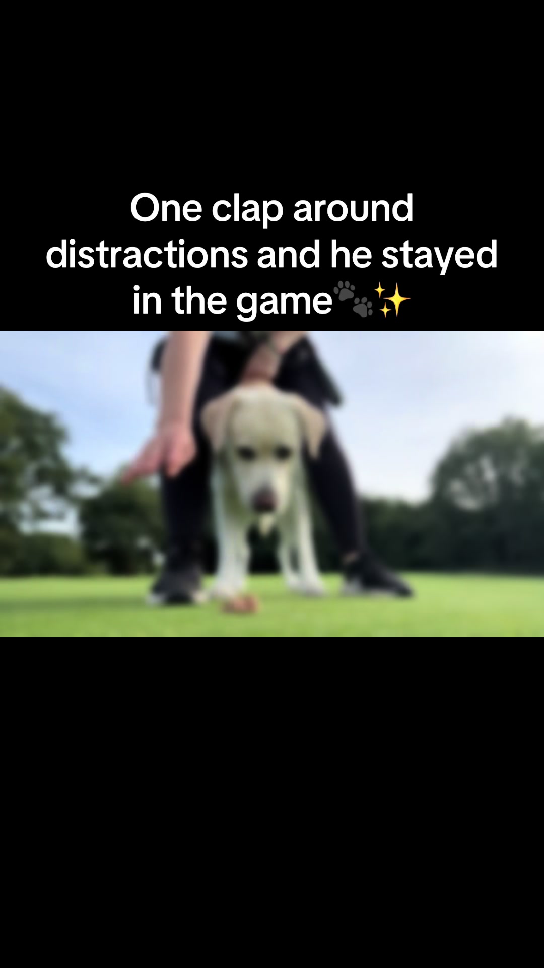 @Teddy 💕Charlie🐾💙