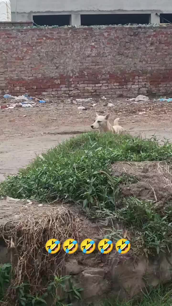 @RoadWisdom Guru Multan