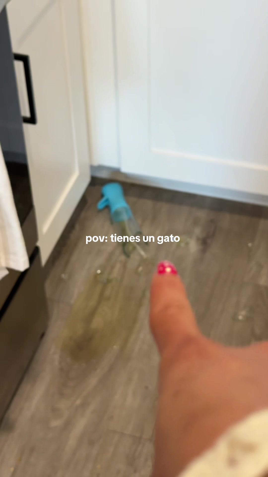 @Alexandra Perez