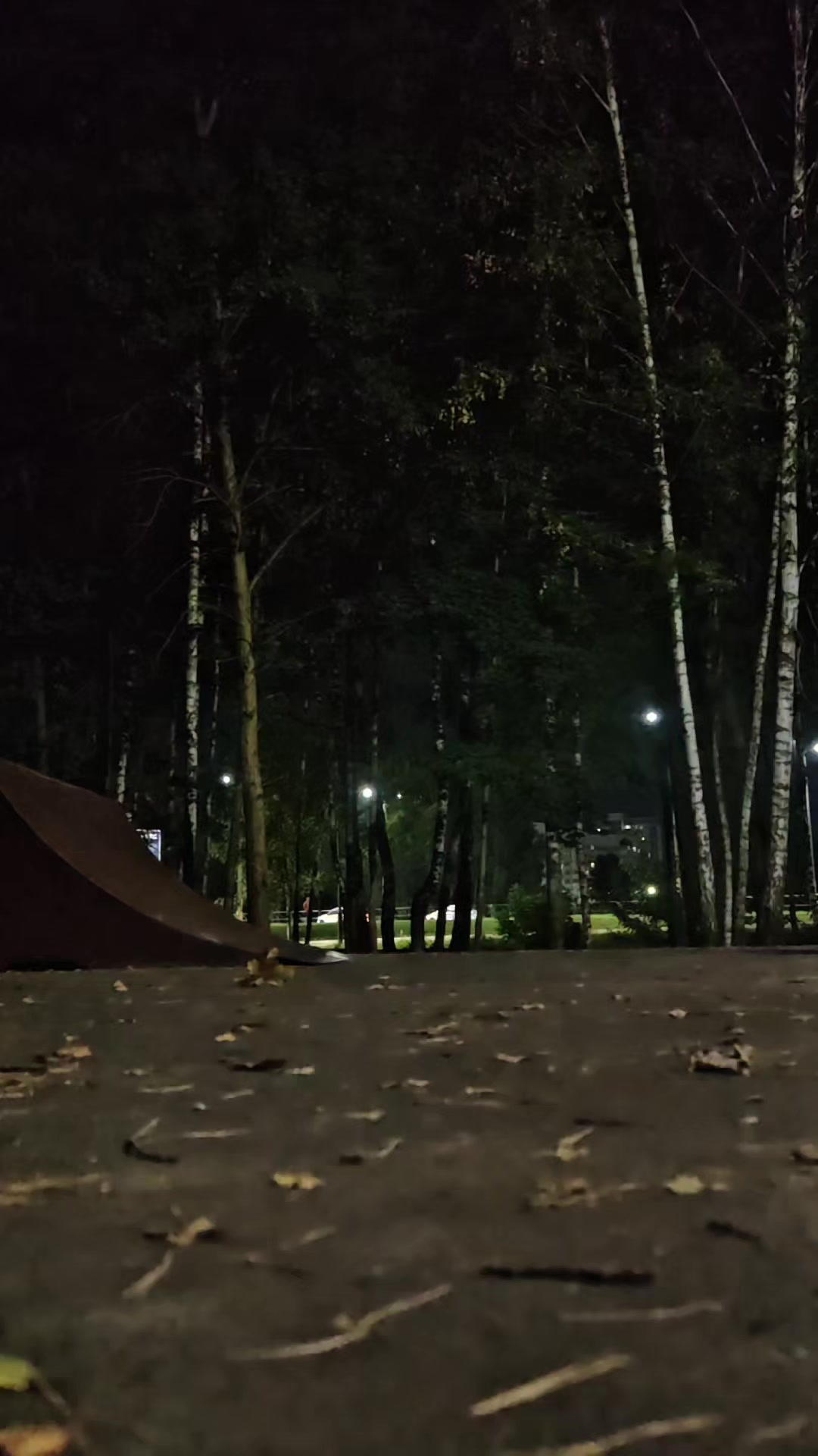 @ARTIXS🇧🇾