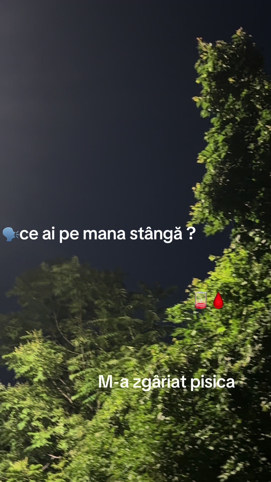 @Dragos_15