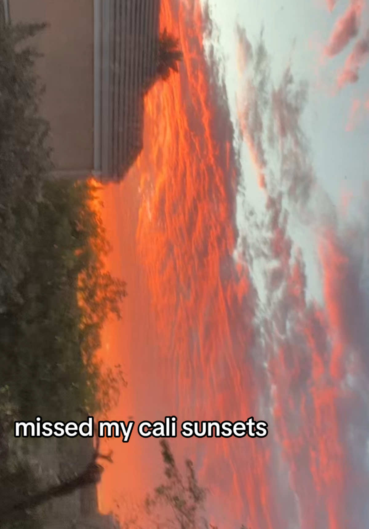 @mereema