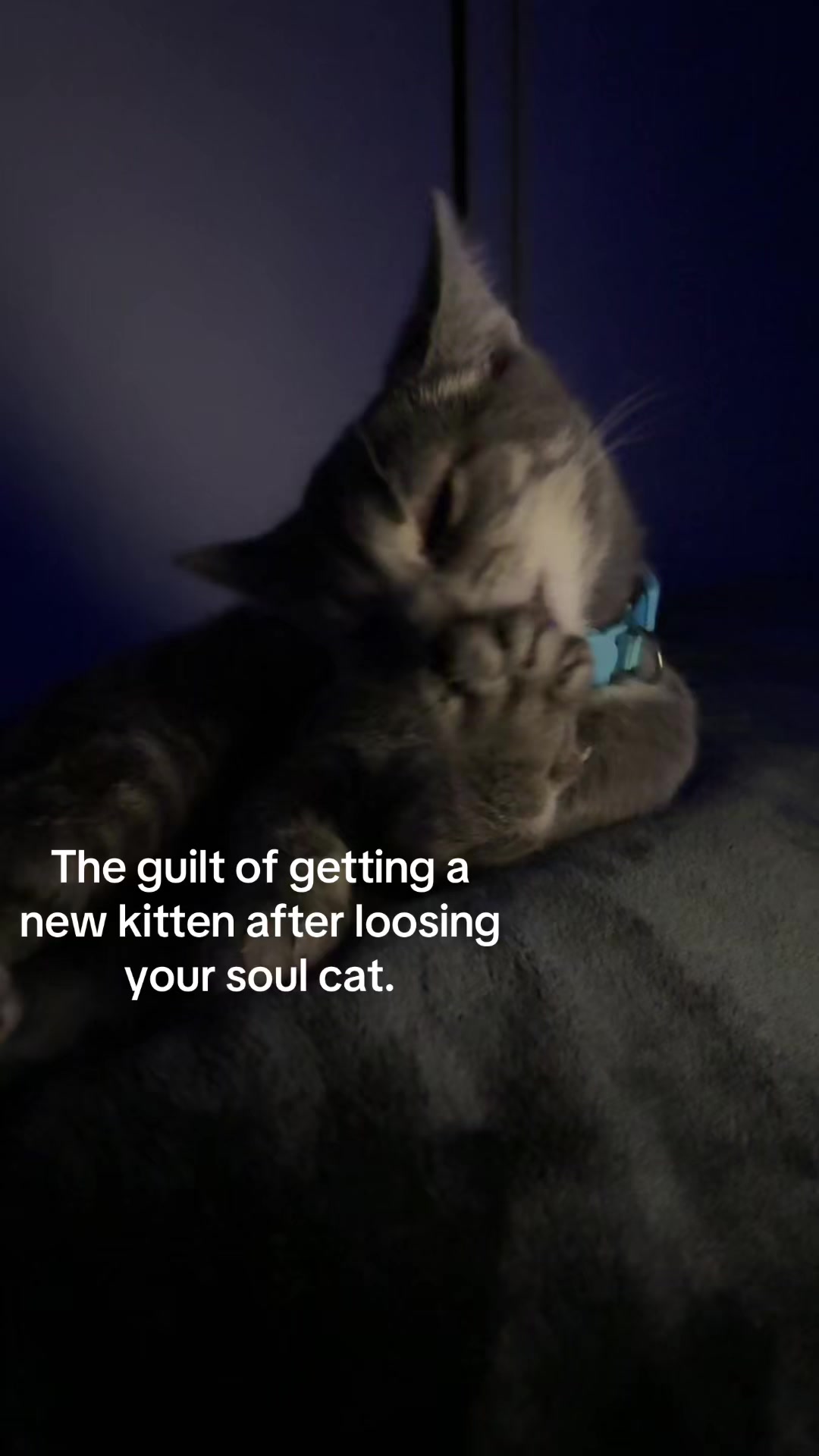 @⭐️