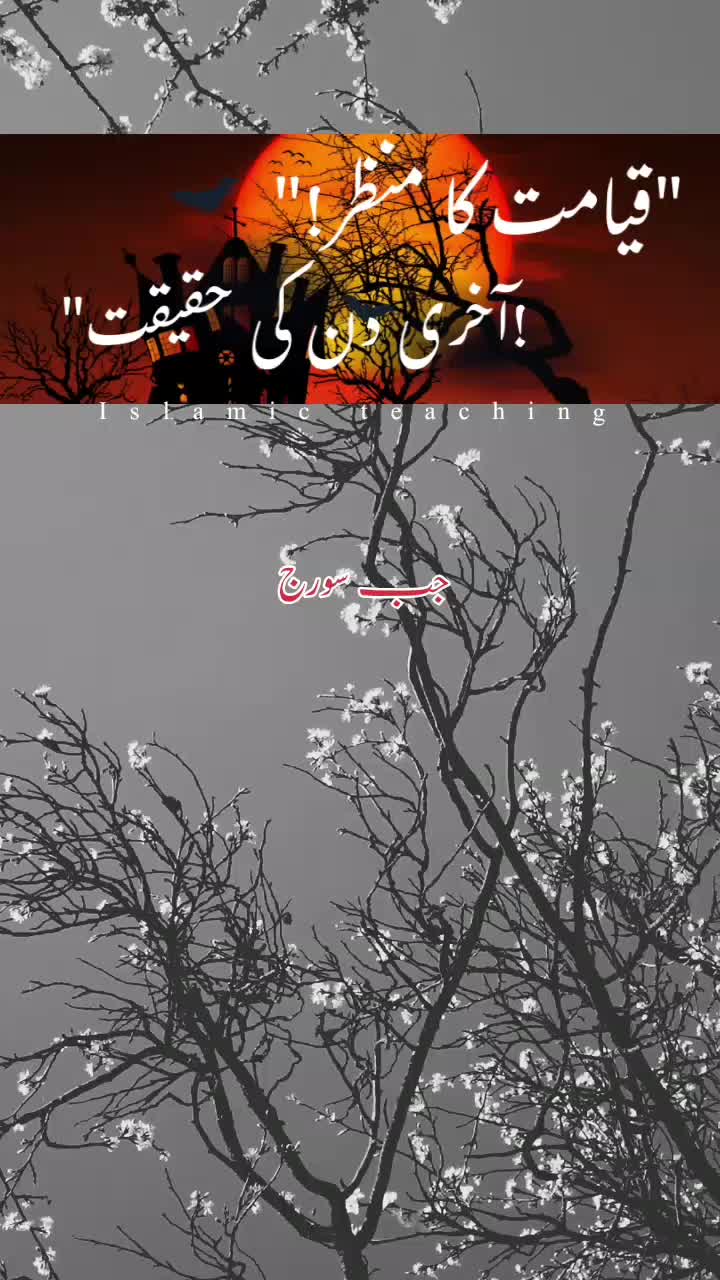 @Noor e sehar