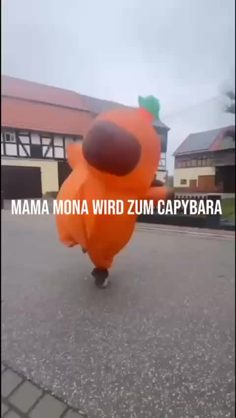 @Mona Goe