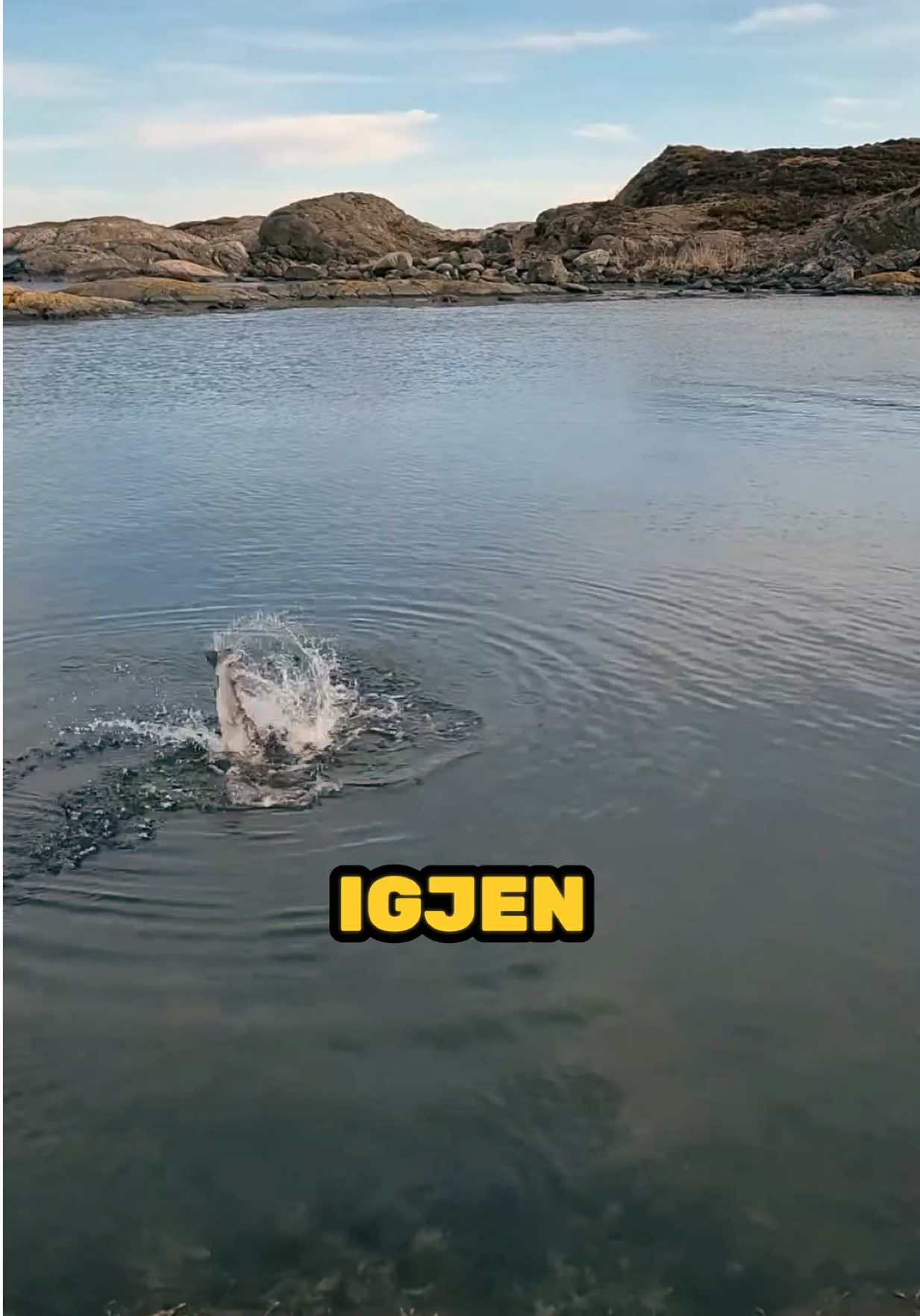 @Sørfiske