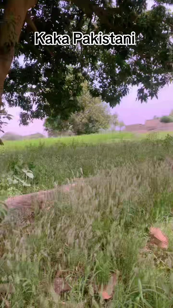@kakapakistani7