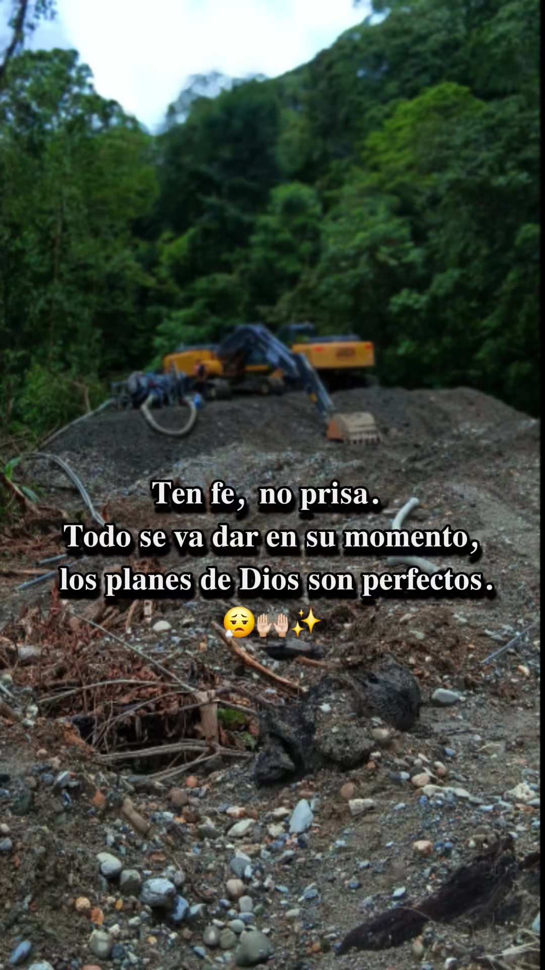 @jose pallares