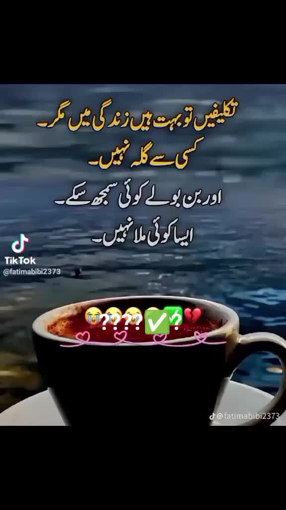 @ariba.bhatti