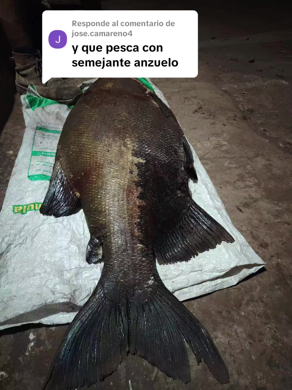 @SunnyFishingCR