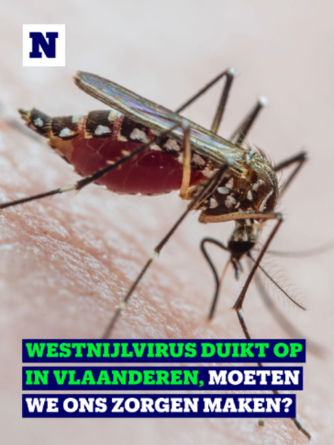 @Nieuwsblad