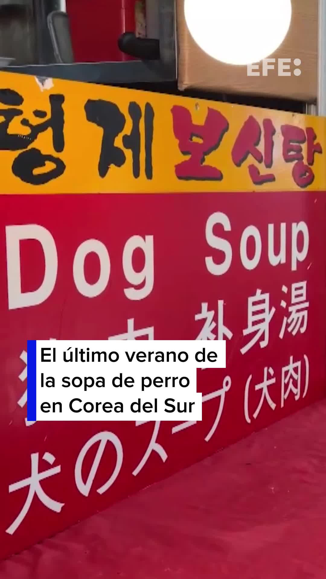 @EFE Noticias