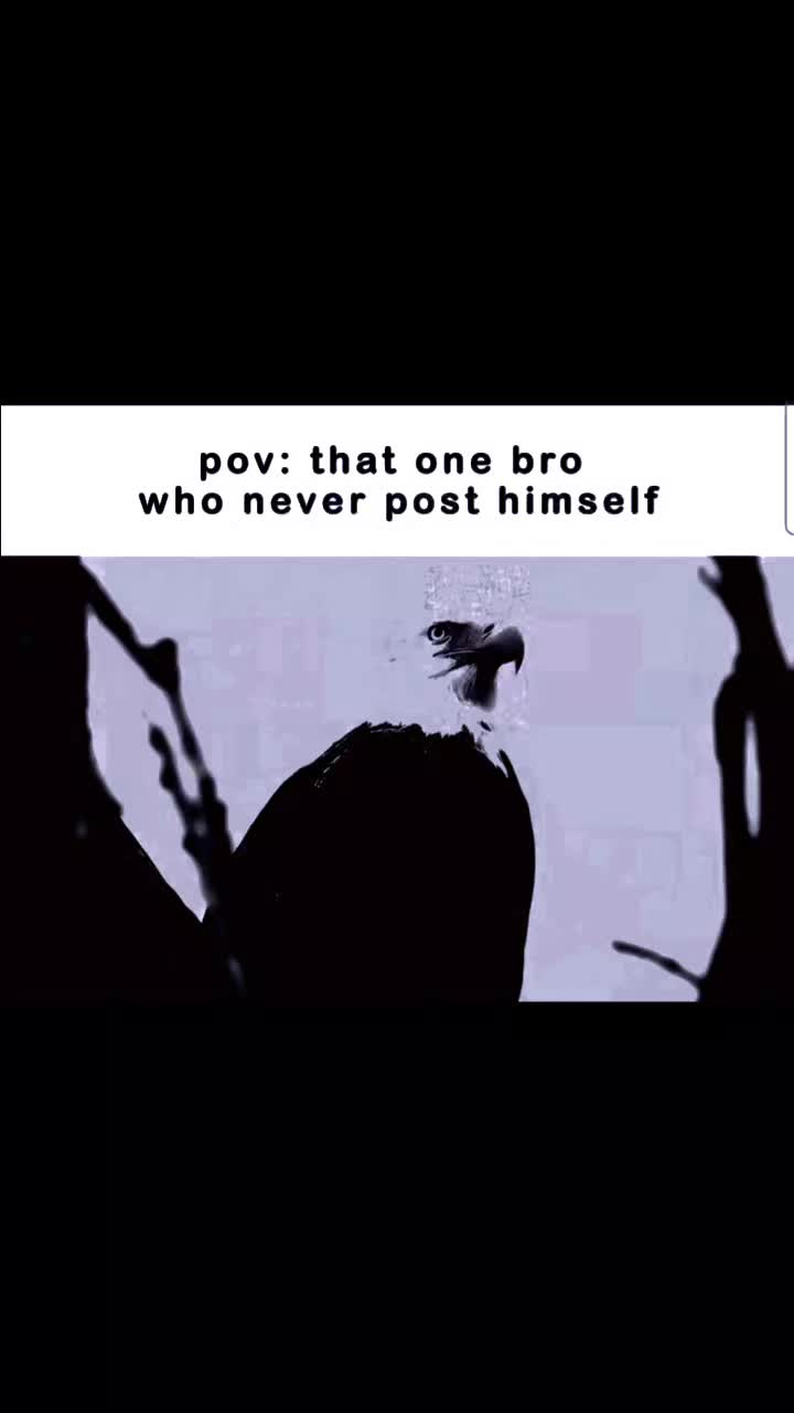 @S̸A̸S̸🇬🇧