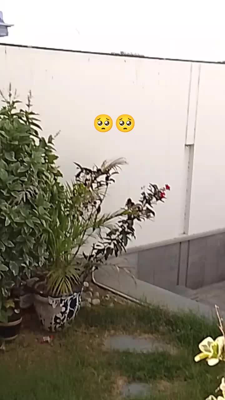 @tiktok