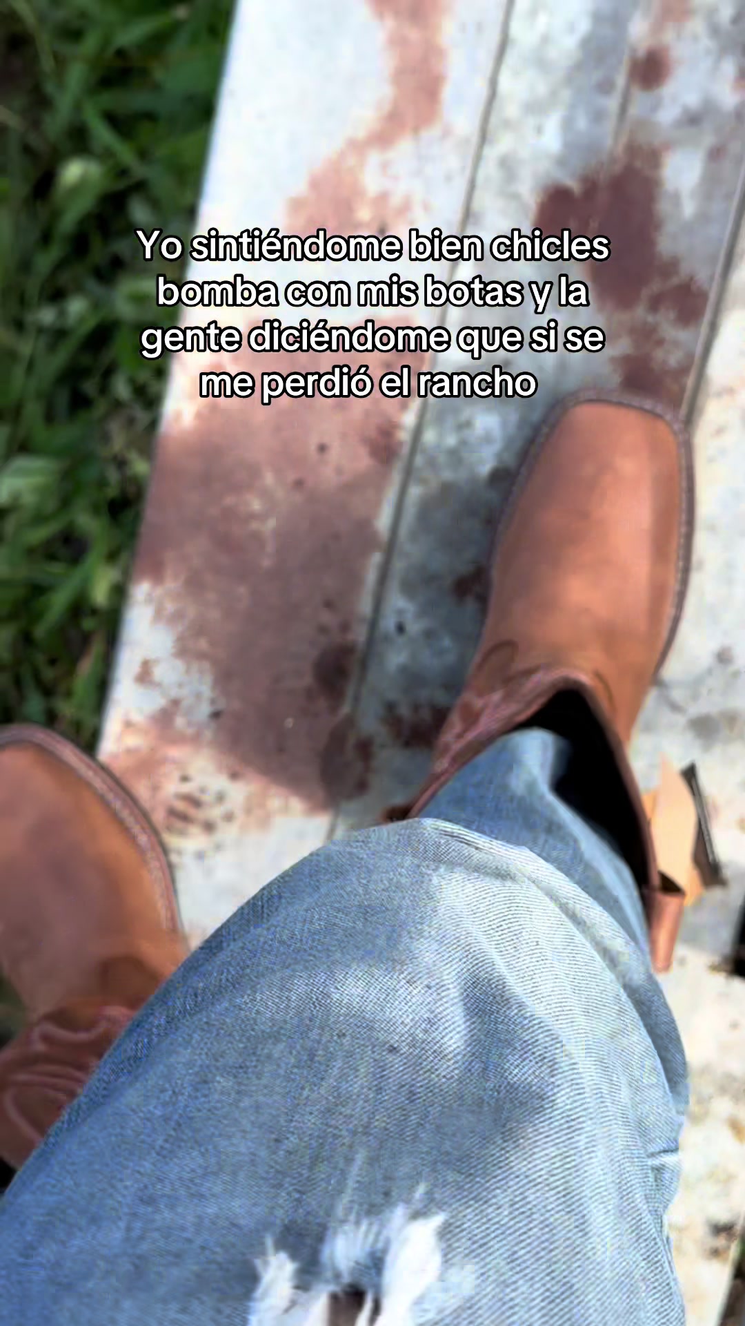 @Venta de Botas RHINO