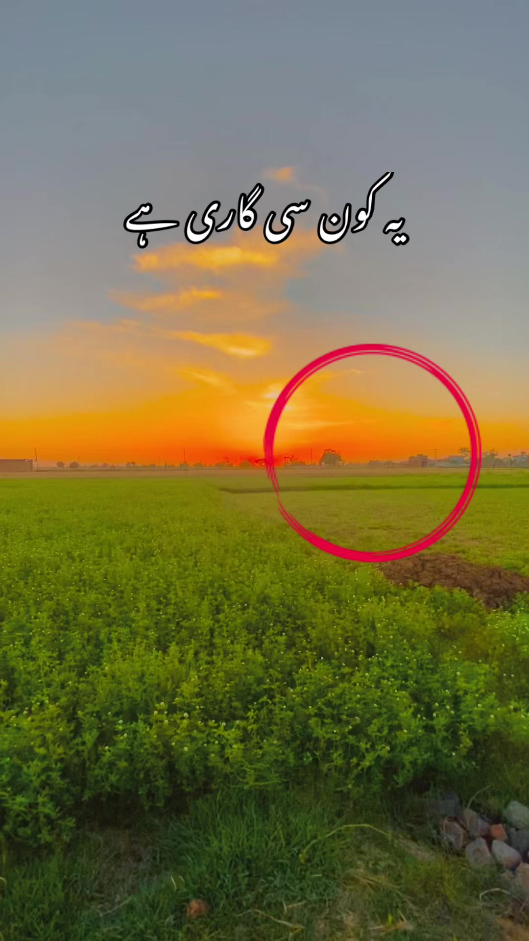 @🥬🎗️پنڈاں آے 🌺