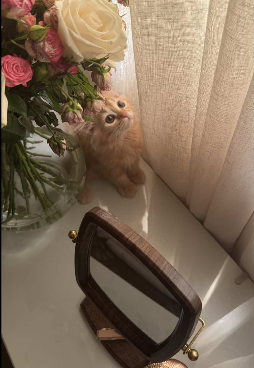 @فــوزيّه