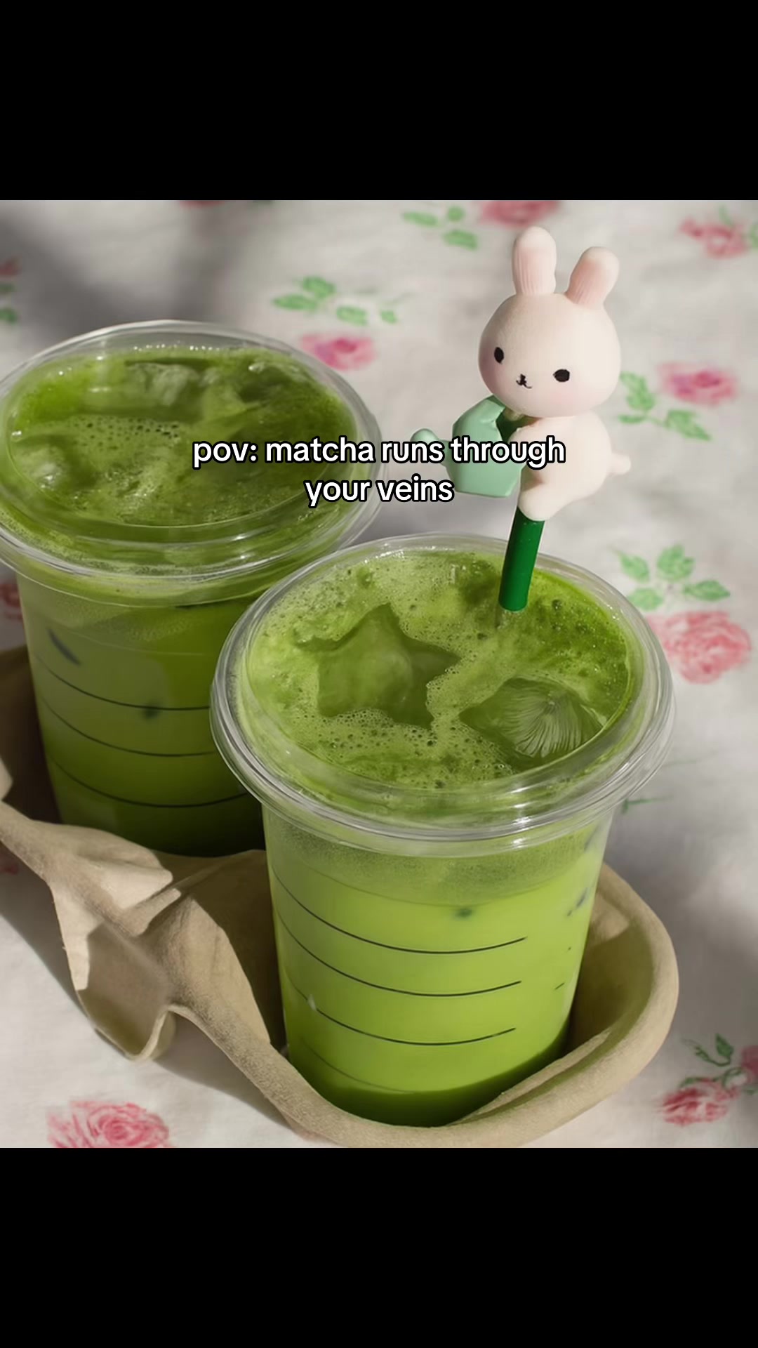 @matcha alien cat