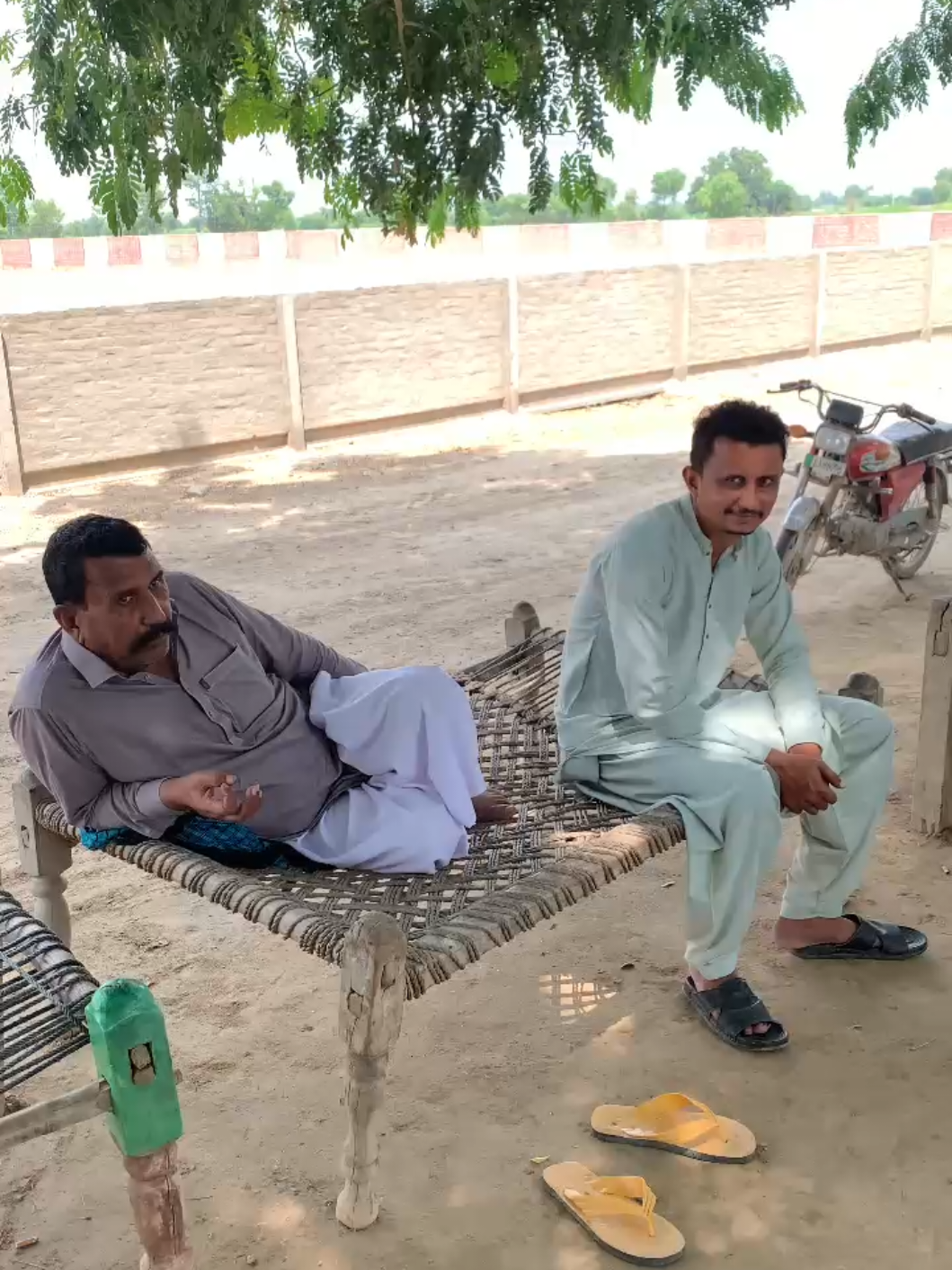 @Babu Pathan Goat Farm