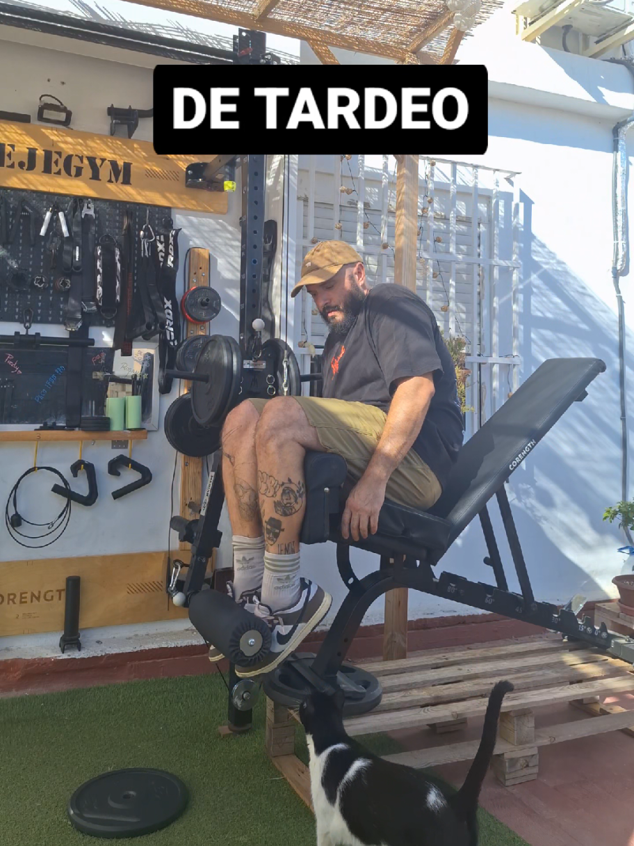 @David Tejera Manchón