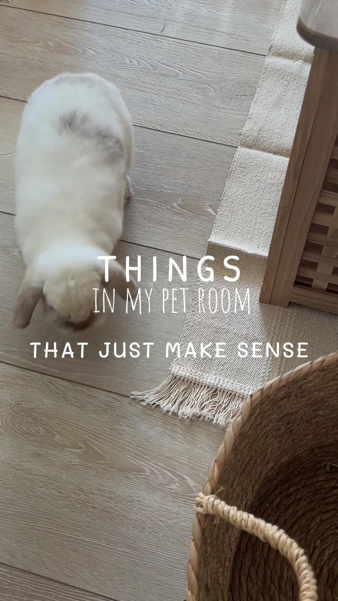 @Petswcourt