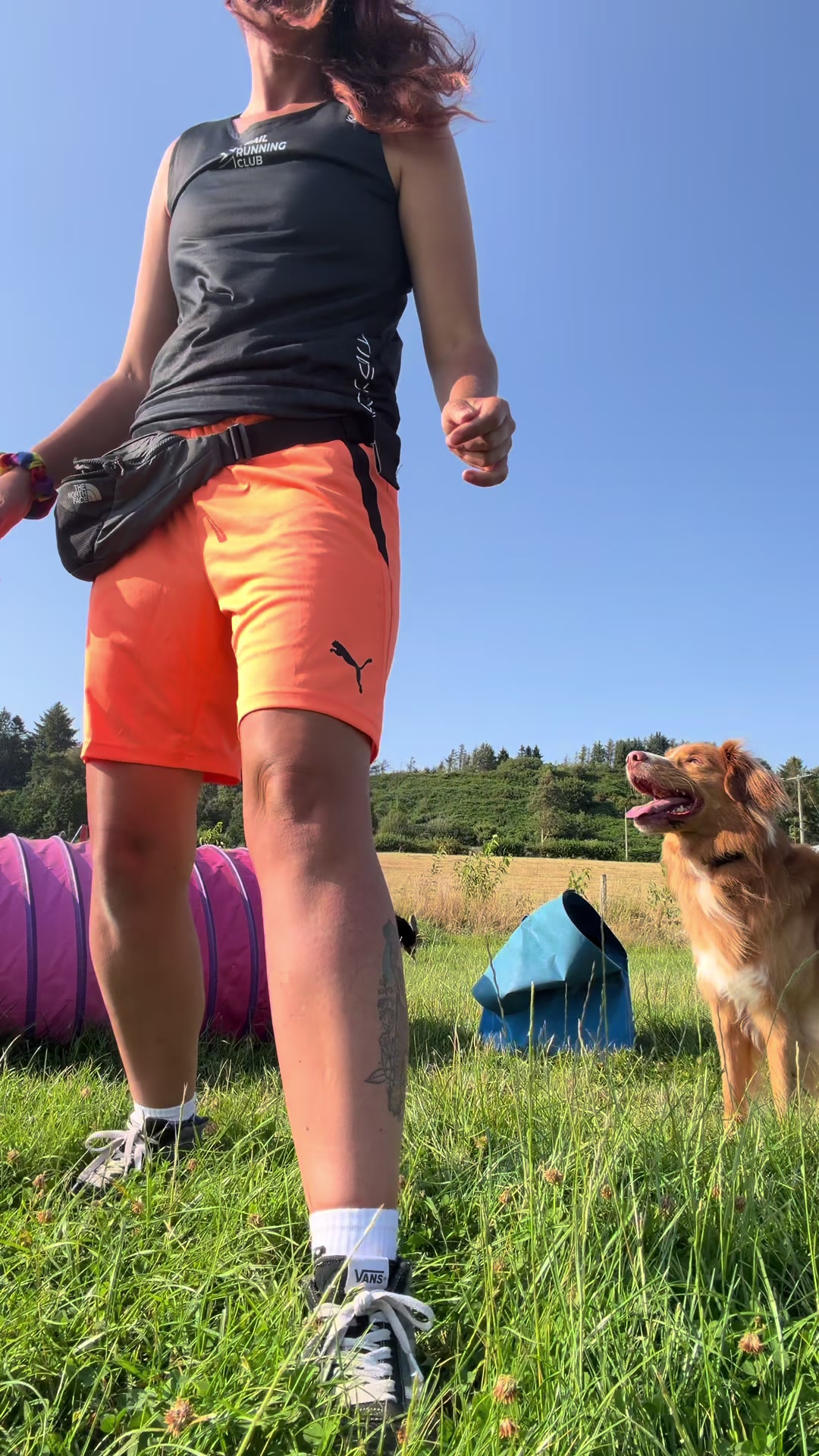 @Valleys Dog Training
