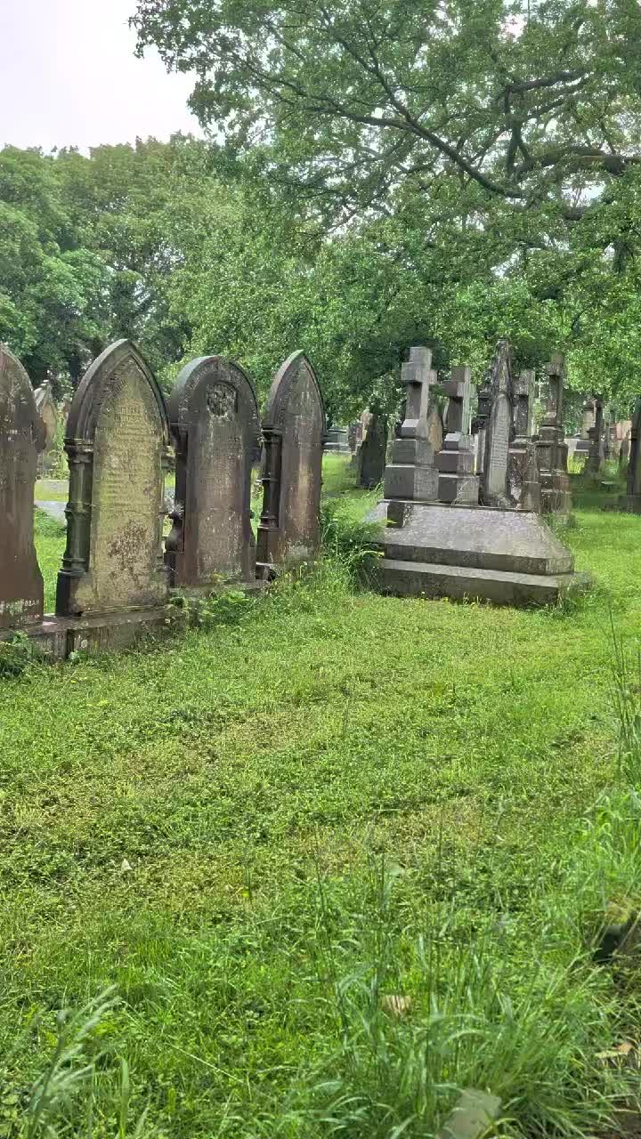 @GraveSnape🪦
