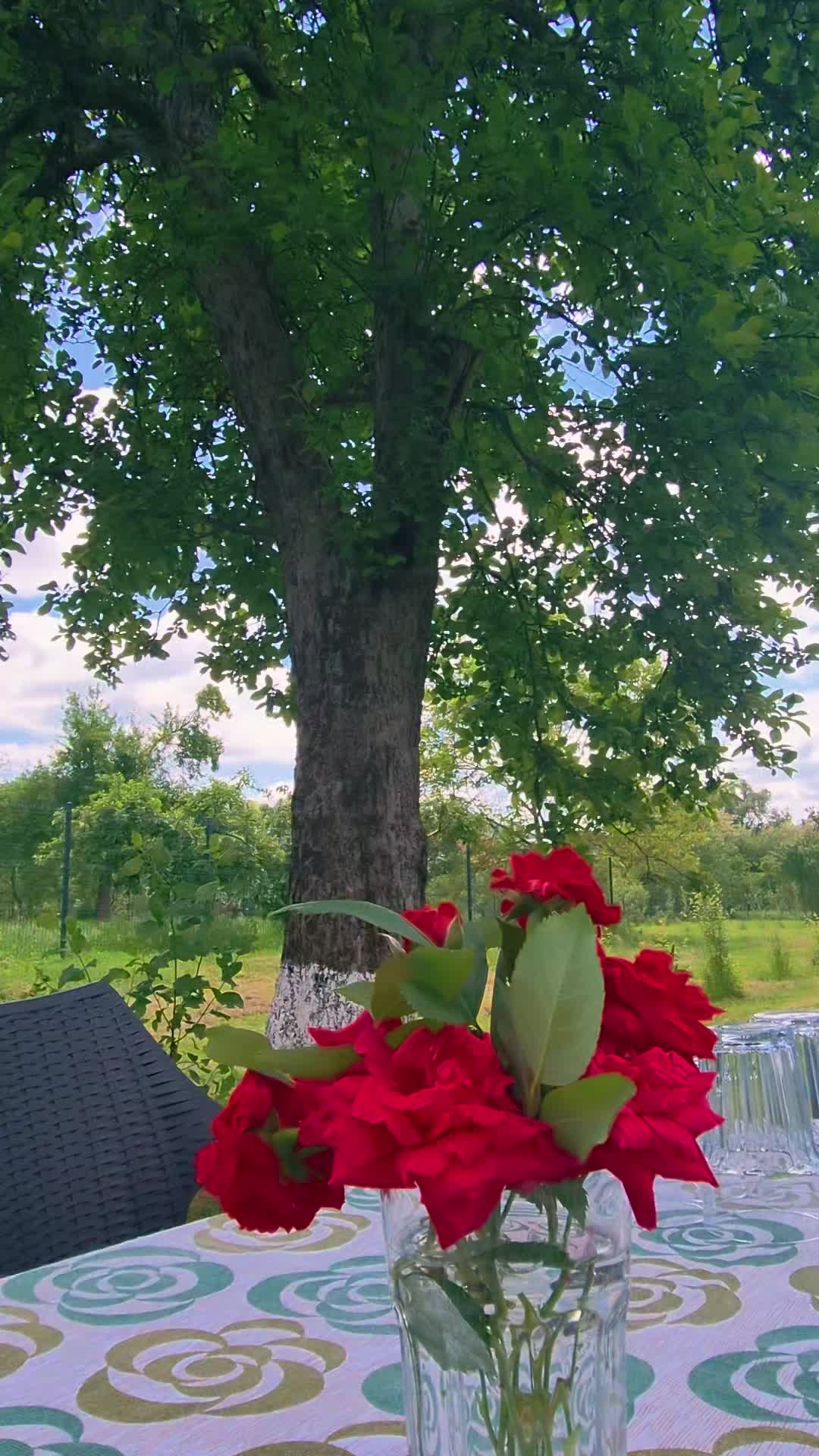 @CiupaHouse 👣 Viața la țară